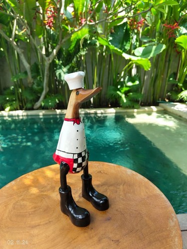 Bali wood canard bois - canard,